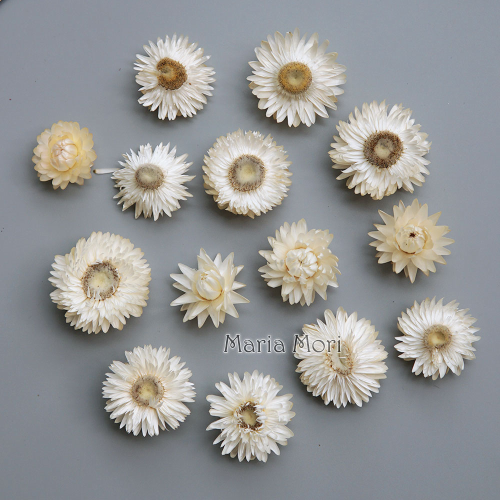 天然のドライでカラフルな菊の花輪,手作りのヘアアクセサリー, - Candle Making Supplies Online のレビューと価格