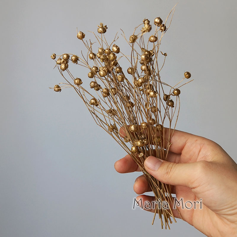 5g/保存された亜麻豆 天然の本物の花 カラフルなドライフラ - Candle Making Supplies Online のレビューと価格