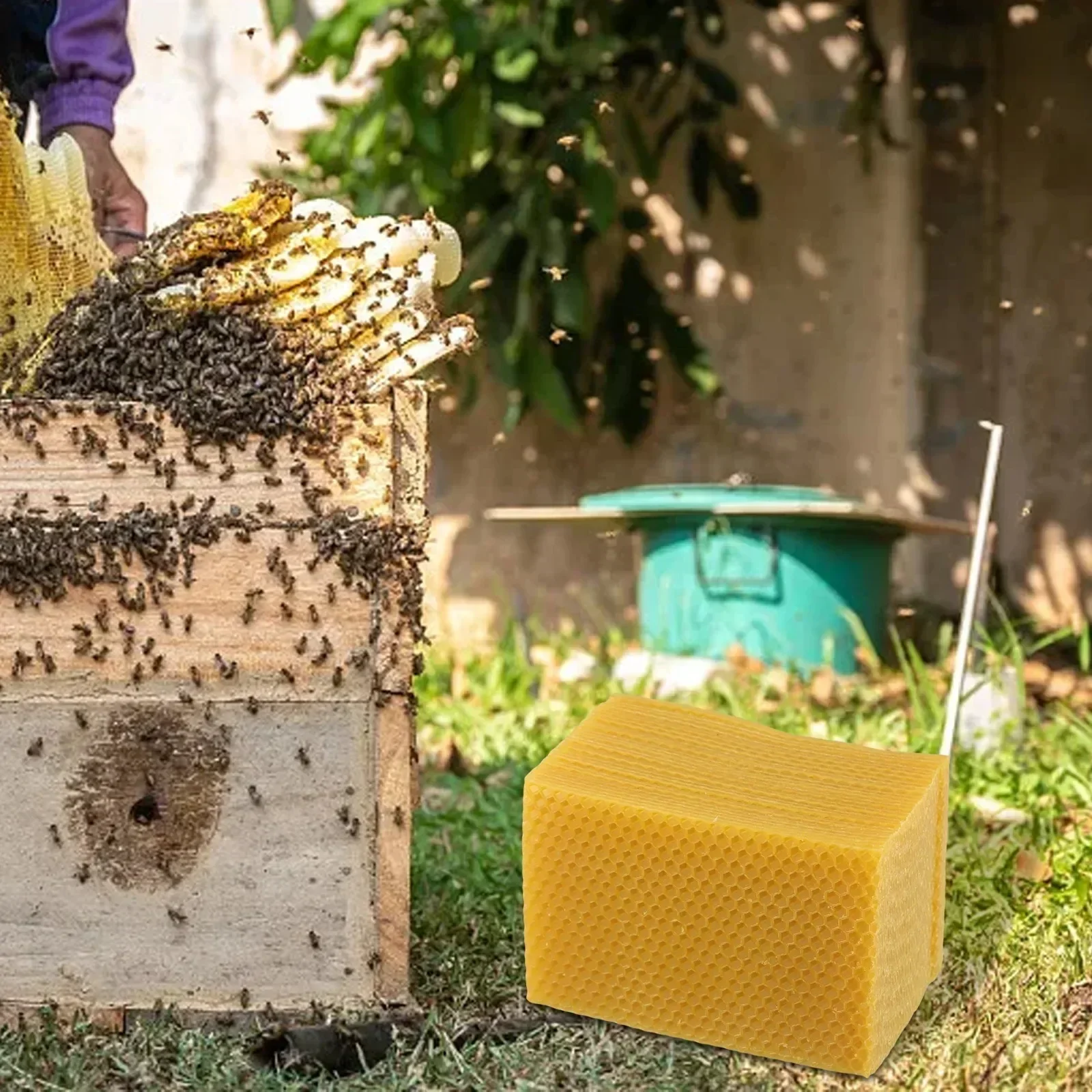 Beehive Supplies Beehive Found - Beeswax Sheet Roll のレビューと価格