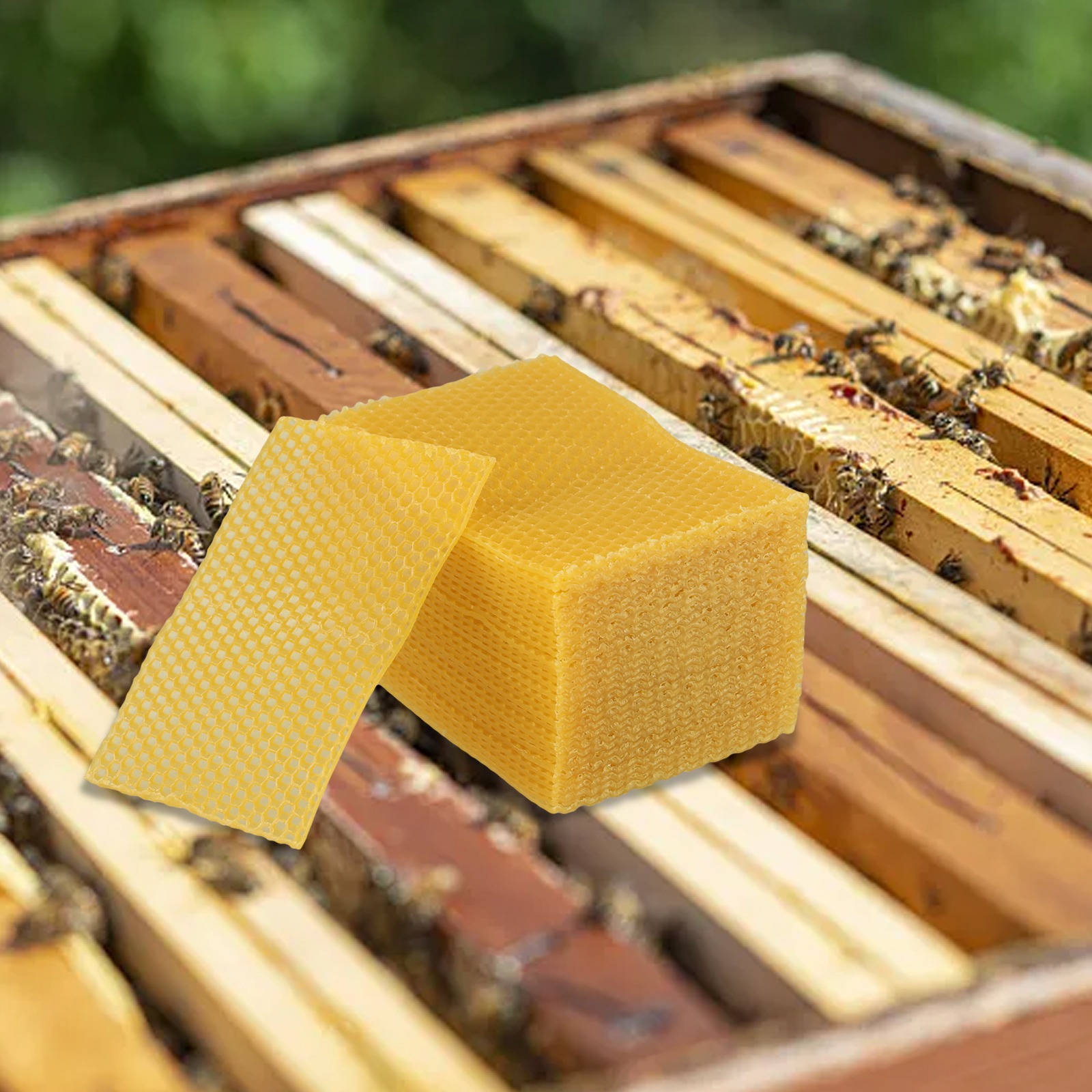 5.24 x 3.54 ビーズワックスシート DIYプロジェ - Beeswax Sheet Roll のレビューと価格