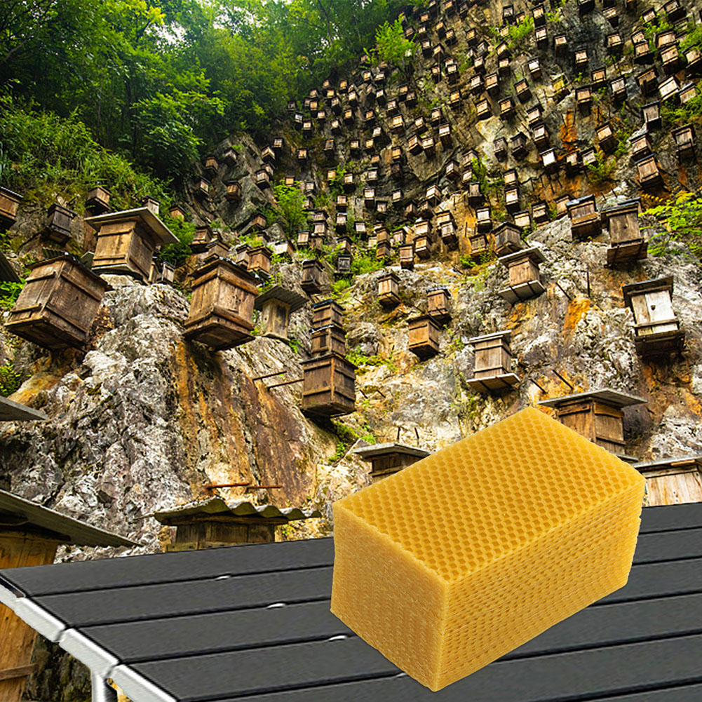30 個天然蜜蝋シート蜂の巣ファンデーション 9 × 13. - Beeswax Sheet Roll のレビューと価格